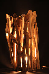 Drift Wood Table Lamp